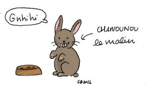 Lapin - Copie (3)