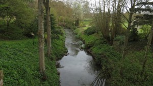 Parc du Château de Brissac - Angers