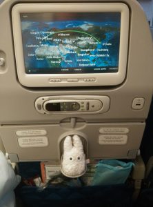 Totoro dans l'avion