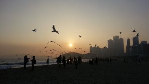 Un soir sur la plage...